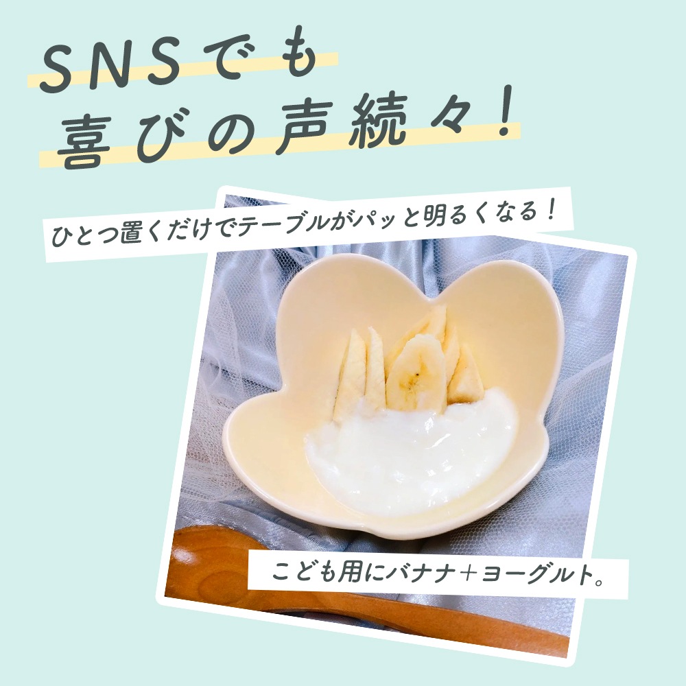 maguお二人様 高級食器セット 計24点 +重なる花型小鉢5客増 強化