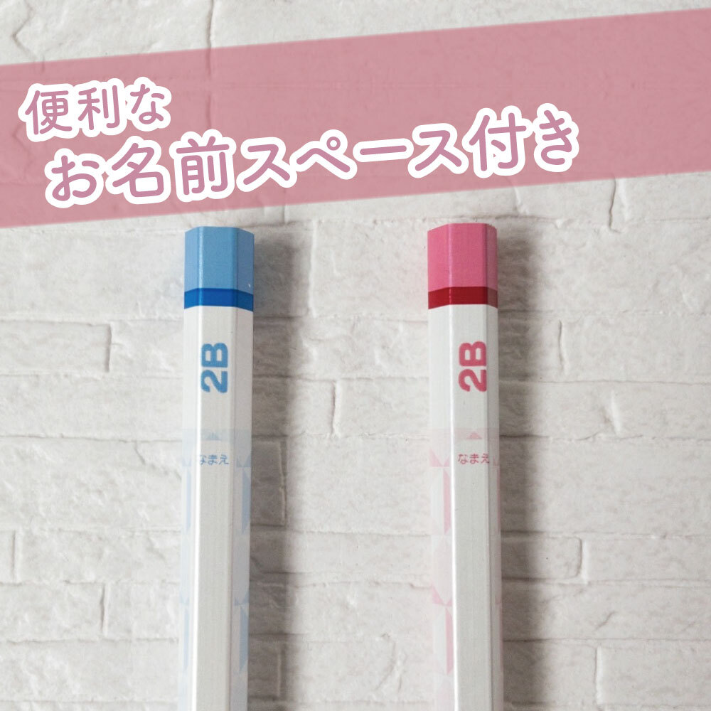 学童に最適「かきかた」ナノダイヤ鉛筆 濃く、なめらか《六角軸 2B 12本》2種類 名前欄付き 学習 小学生 入学準備 低学年 高学年 入学祝い プレゼント 書写 すらすら 濃い ノート きれい ダース 折れにくい 筆圧 弱い 青 ピンク 男の子 女の子 幼児