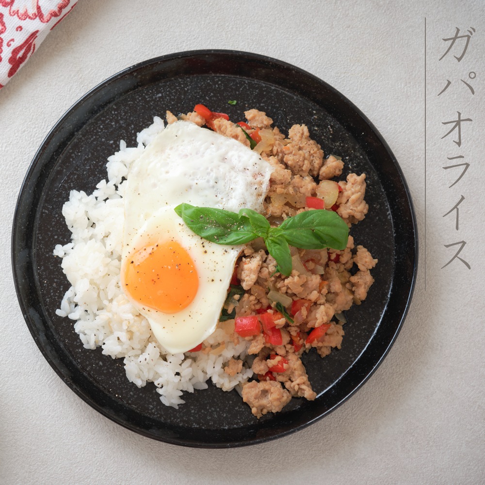 【YAMATSU STANDARD】22cm 中皿 ミート皿 ワンプレート カレー パスタ シンプル 丸皿 プレート 皿 白 黒 ホワイト ブラック おしゃれ 収納 カフェ食器 シンプル 美濃焼 磁器 ポーセラーツ BPAフリー ギフト 業務用 軽い 日本製