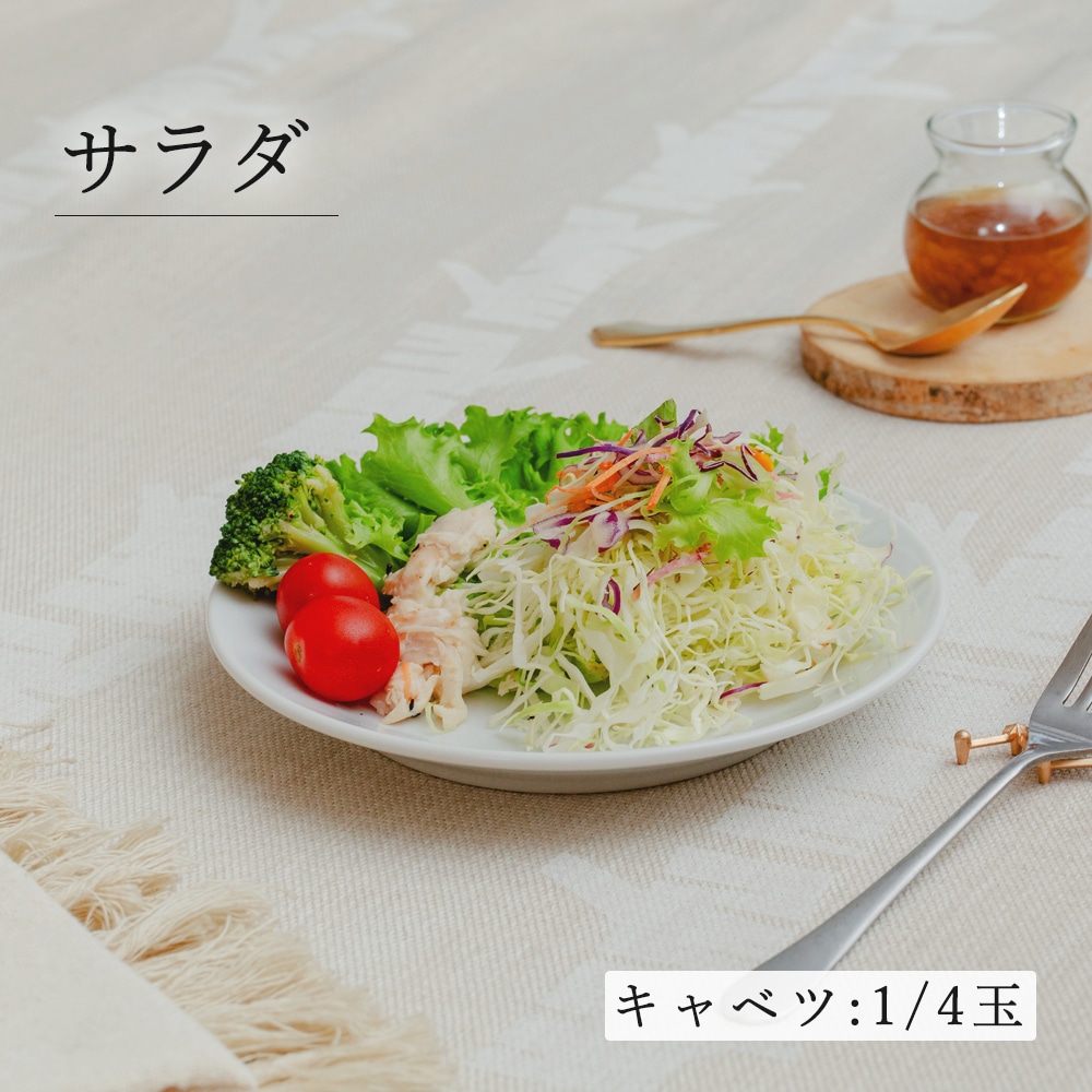 【YAMATSU STANDARD】17cm 浅皿 小皿  デザート サラダ 丸皿 プレート 皿 白 黒  ホワイト ブラック  おしゃれ 収納 カフェ食器 シンプル 美濃焼 磁器 ポーセラーツ BPAフリー ギフト 業務用 軽い 日本製