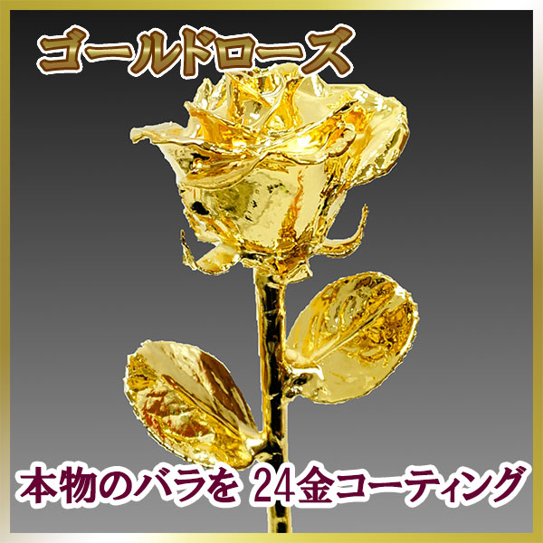 ������ɥ������������⥳���ƥ��󥰡�������̵���ۡ������Ʊ�����Բġۡڥ᡼����ľ����