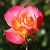 Хġǯġʥɥåءȭڥ֥ġۡ