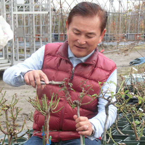 �Х��ġ���ĥ���������ӥ���������ڤ�ɽ���ˤʤäƤ���ޤ������ޤ��Ϥ����äǤ���礻��������