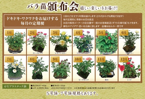 �ߥ˥Х��ߺϻ�Ω�ơ����۲�6��ץ饹���å���ȭ