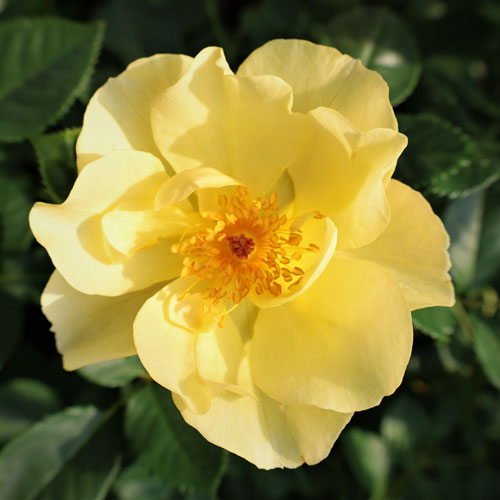 �Х��ġ���ǯ����ġ���������ɥ��ѥåġ��Ĥ�Х顡����ȭ�����Х��Ĥϣ��������Ķ��������ȯ������