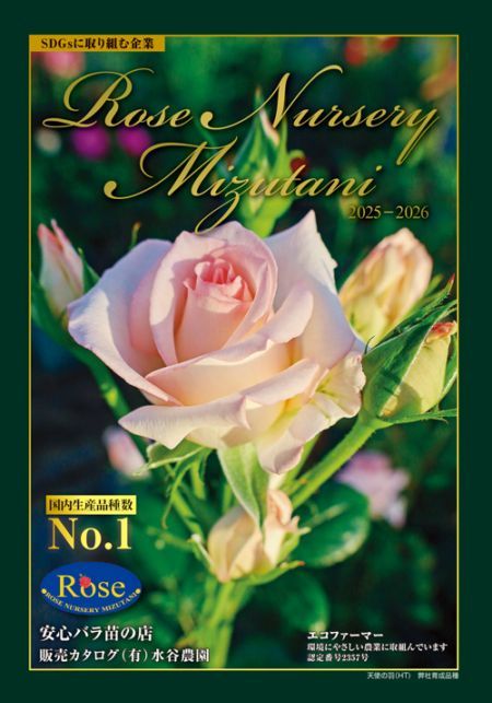 ���ꥸ�ʥ륫������2025-2026���ԥХ��Ĺ������˻Ȥ��륯���ݥ��դ��ա��ڤ椦�᡼�����ϥ����ͥ��ģ�������̵���ۡ�����Բġ���ʧ���Բġ�