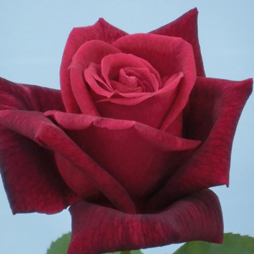 Хġǯġѥѥᥤءȭܰʹߡȯͽꢨ