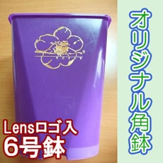 ץ饹åȭѡץ롡ġLENS