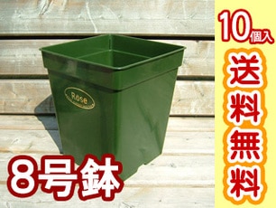 ץ饹åȭ꡼󡡣ĥåȡ̵