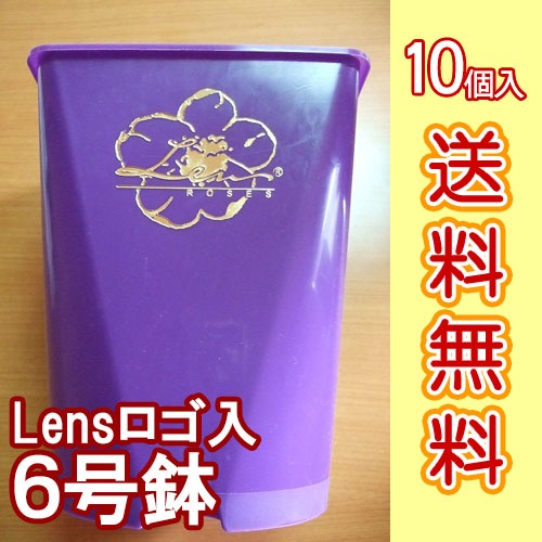 ����ץ饹���å���ȭ���ѡ��ץ롡�����ĥ��åȡ�������̵���ۡ�LENS���������