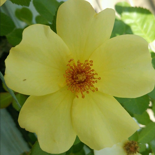 �Х��ġ���ǯ����ġ������åץ른��å����Ĥ롡����ȭ�����Х��Ĥϣ��������Ķ��������ȯ������