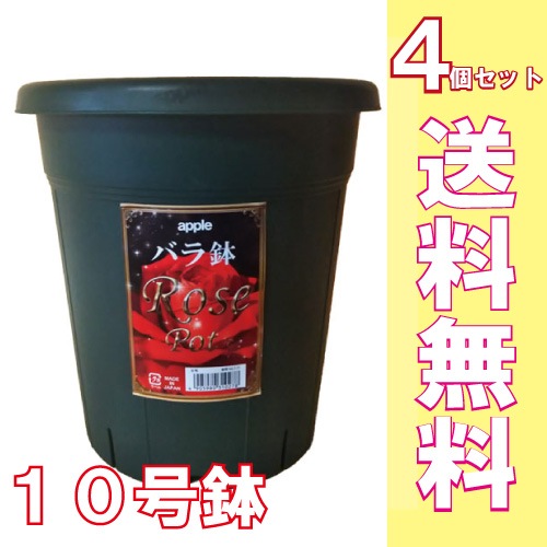 1_000000007218.jpg?1718083117