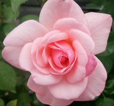 Хġǯġߥءȭܰʹߡȯͽꢨڥ֥ġ