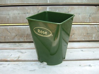 ����ץ饹���å���ȭ�����꡼�󡡣��ġ�