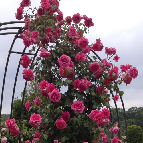 �Х��ġ���ǯ����ġ����ѥ졼�ɡ����Ĥ�Х顡����ȭ�����Х��Ĥϣ��������Ķ��������ȯ����