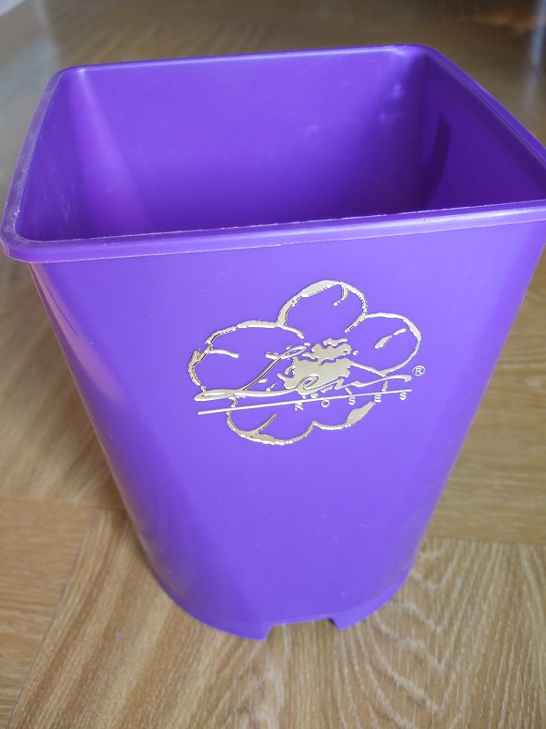 ����ץ饹���å���ȭ���ѡ��ץ롡���ġ���LENS���������