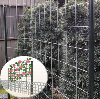 ĤХΤΥȥꥹ֥ޥ꡼VG(С١å)ס̵ۡԲġۡڥ᡼ľʡ