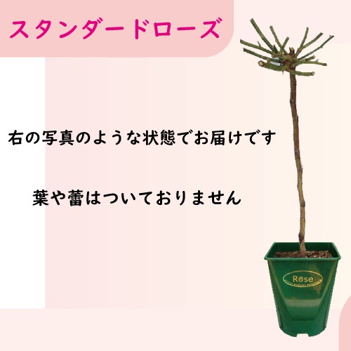 �Х��ġ���������������ġ�������������������ȭ����Ʊ���Բġ�