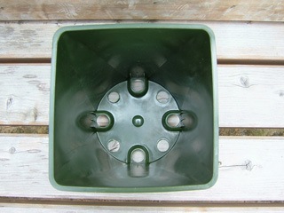 ����ץ饹���å���ȭ�����꡼�󡡣��ġ�