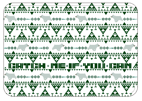 ǥ֥󥱥åȡBearFish