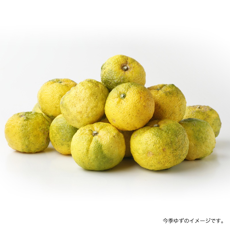 【予約受付中】農薬不使用 木頭ゆず(黄玉) 5kg (約50個)