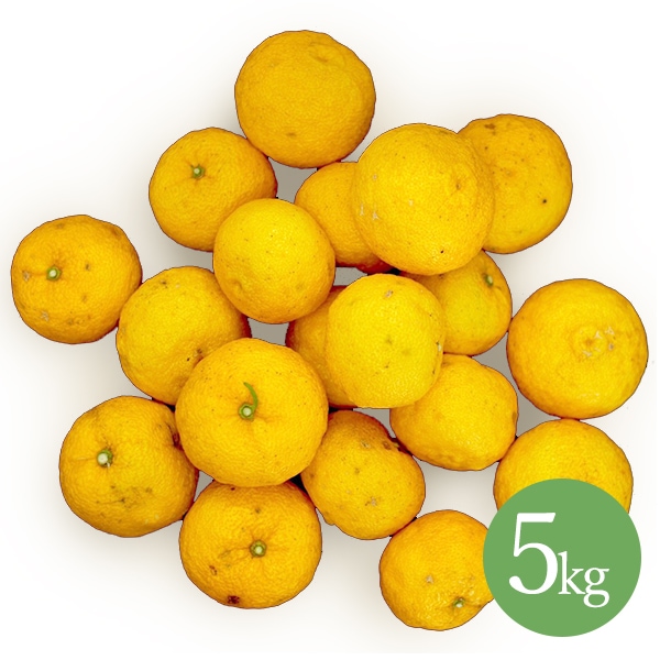 【D:ゆず湯プラン】 冬至向け 木頭ゆず5㎏