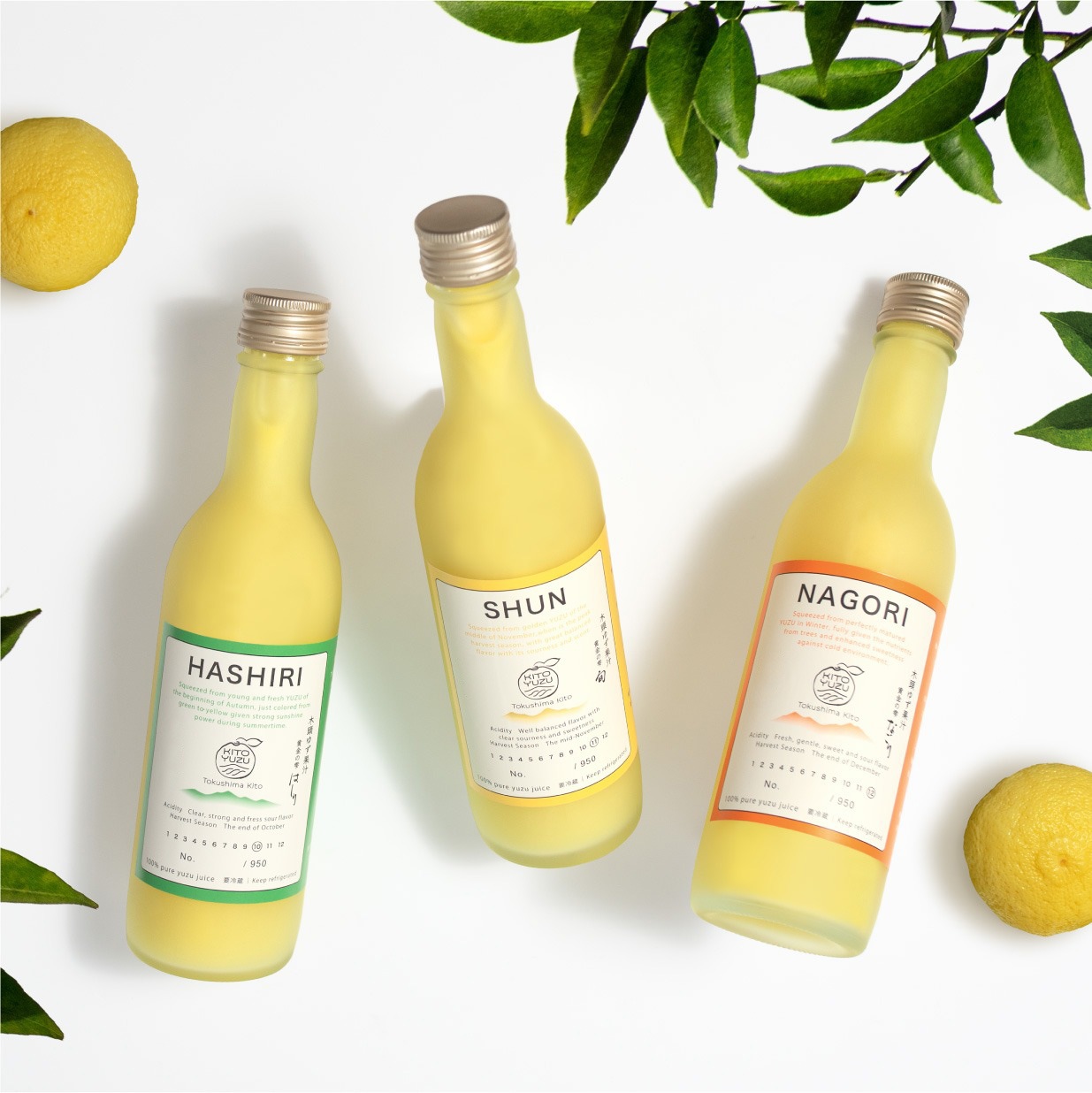 木頭ゆず果汁 黄金の雫 2025 －はしり・旬・なごり－３本セット 【要冷蔵・生しぼり】