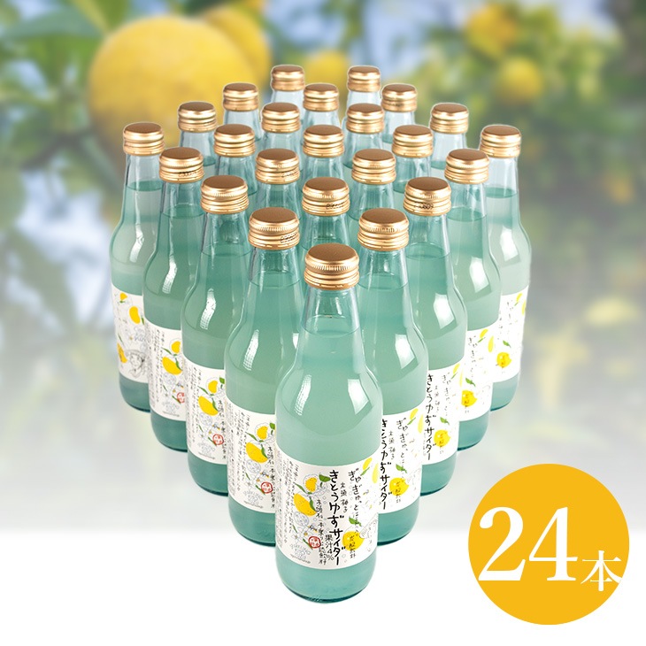 きとうゆずサイダー 24本入りセット