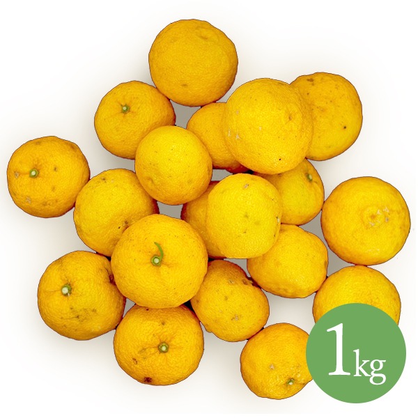 【わけあり】徳島・木頭ゆず1㎏（黄玉）