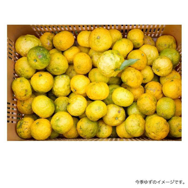 【わけあり】徳島・木頭ゆず1㎏（黄玉）