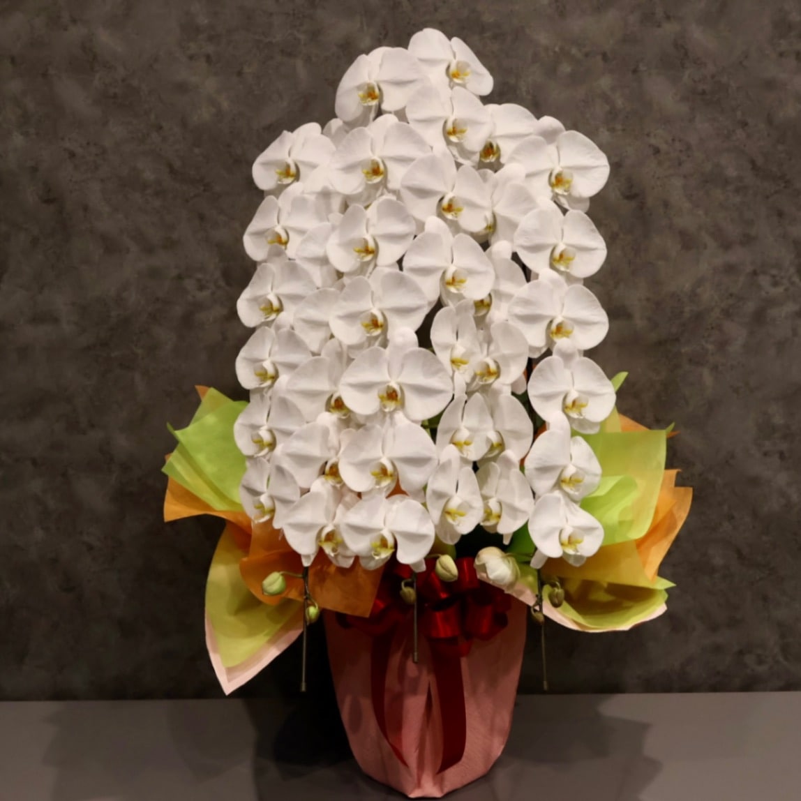 胡蝶蘭2L ３本立ち