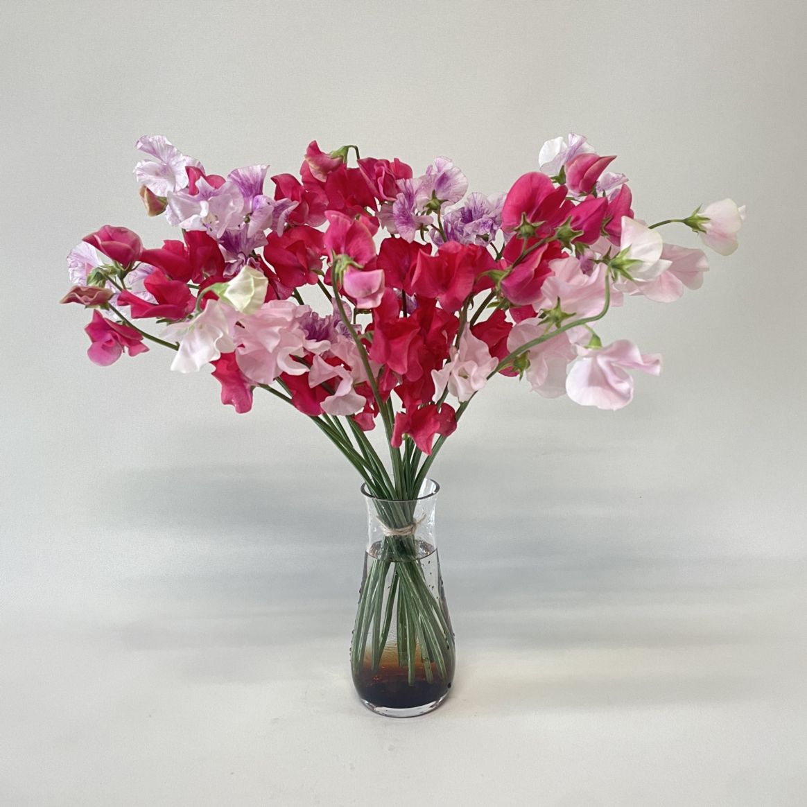 ［1月限定］スイートピーの花束　花瓶付き（スイートピー３種ミックス）