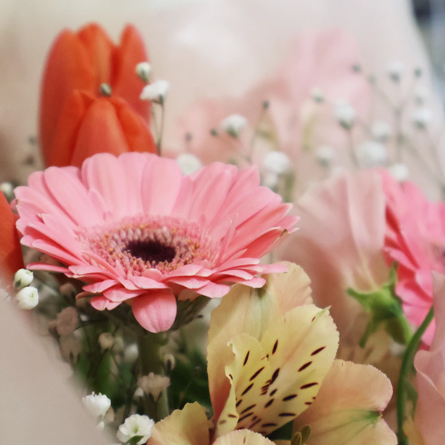 【特別な1束】ありがとうの花束 プレミアムブーケ