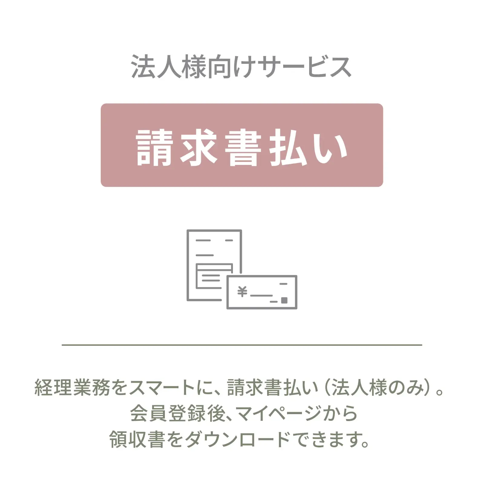 【お取り寄せ商品】パキラ 10号　プラスチック鉢