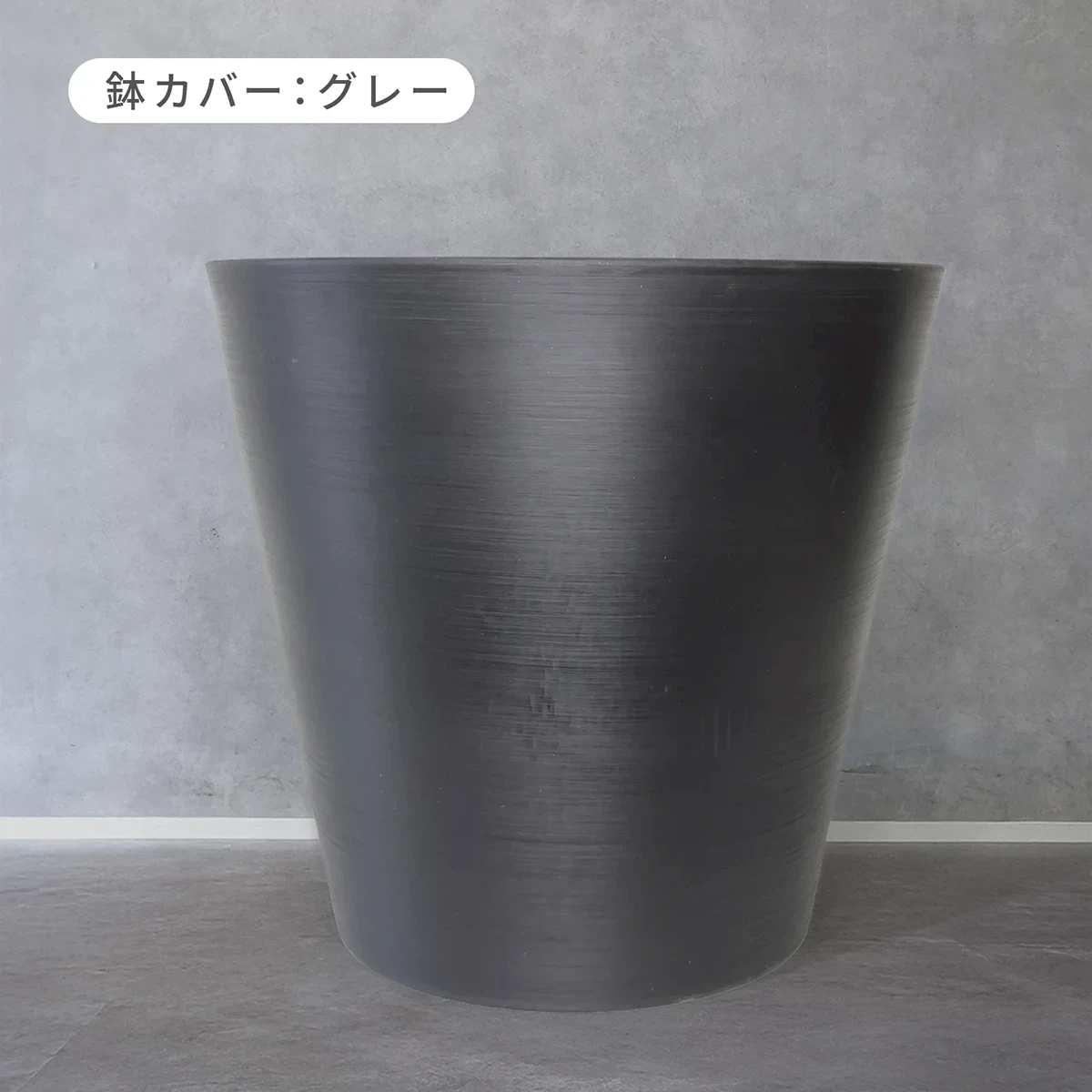 【お取り寄せ商品】パキラ 10号 プラスチック鉢