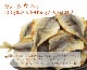 Ƥ 190gڥ᡼ء̵