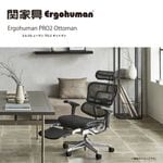 �ڴزȶ�� ���ե�����������Ergohuman Pro�� ���르�ҥ塼�ޥ�ץ�2����Ǽ�����åȥޥ�EHP2-LPL