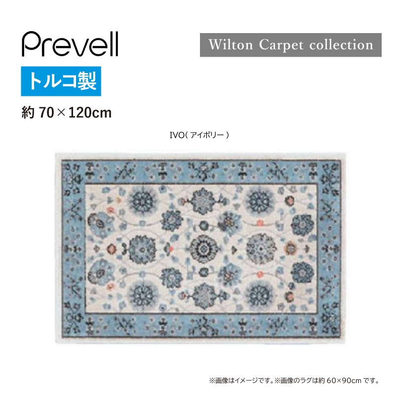 �ڥץ졼�٥�ۥ饰���饰�ʡ�������ȥ�饰����70��120cm  �ý������ݸ��̡��ۥåȥ����ڥåȡ����Ȳġ��ȥ륳��