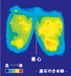 ڥ٥ȥ顼 pinto ݡȥå (Yellowish Green)꡼ൻ