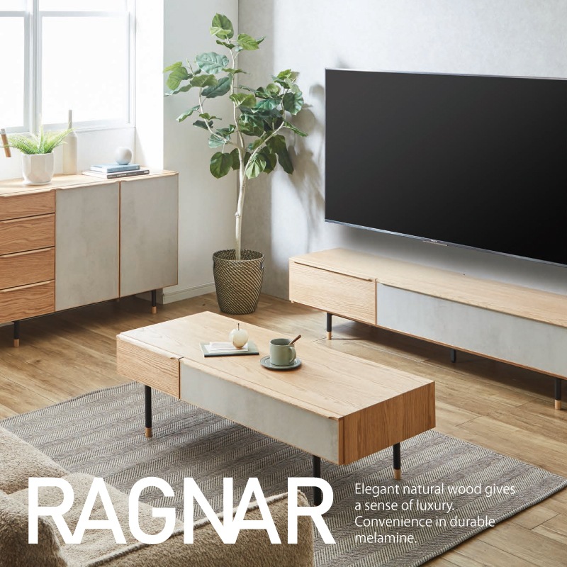 ڻĥѥۥ󥿡ơ֥롡120cm饰ʡ