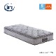 �ڥ������ۥ��󥰥륵�������ޥåȥ쥹�Τ�  �饤�ȥ֥꡼��5.8BOX-T