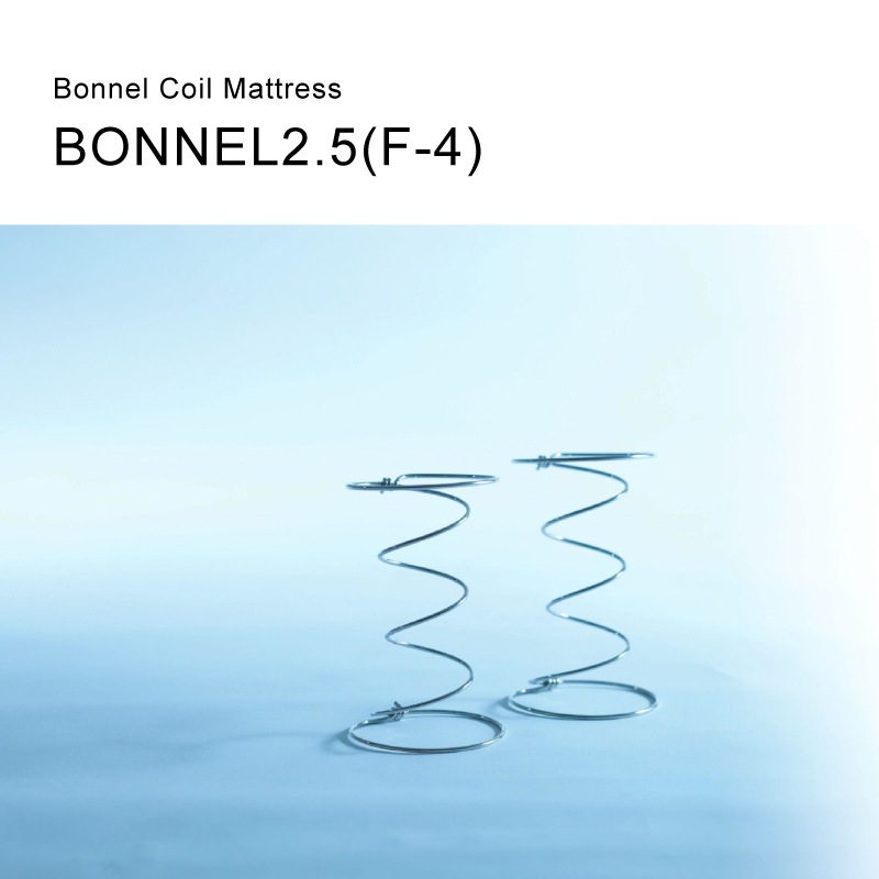 �ڥɥ꡼��٥åɡۥ��󥰥륵�������ޥåȥ쥹�Τߡ��ܥ�ͥ�2.5�ޥåȥ쥹��F-4�� �񻺲ȶ�