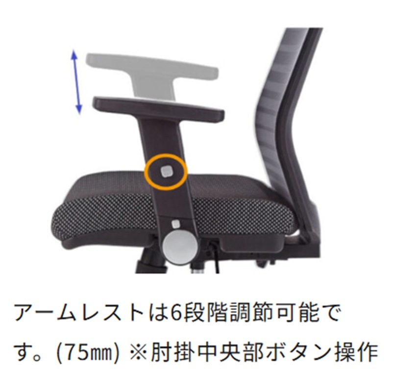 �ڥ������ߥե��˥ƥå��ۡ����ե�����������JG4��ɪ�դ�