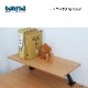 �����ϡۥǥ������ϥ���  ��120cm������������