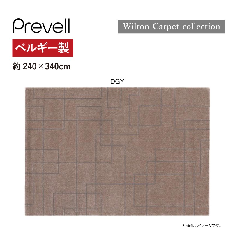 �ڥץ졼�٥�ۥ饰���ݡ���󡡥�����ȥ�饰����240��340cm  �ۥåȥ����ڥåȡ����Ȳġ��٥륮����