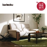 �ڥ���⥯�� 2�ͳݤ���ĥ�꥽�ե� UU4812����165cm���������ࡡU38�ޥ������� karimoku���񻺲ȶ�