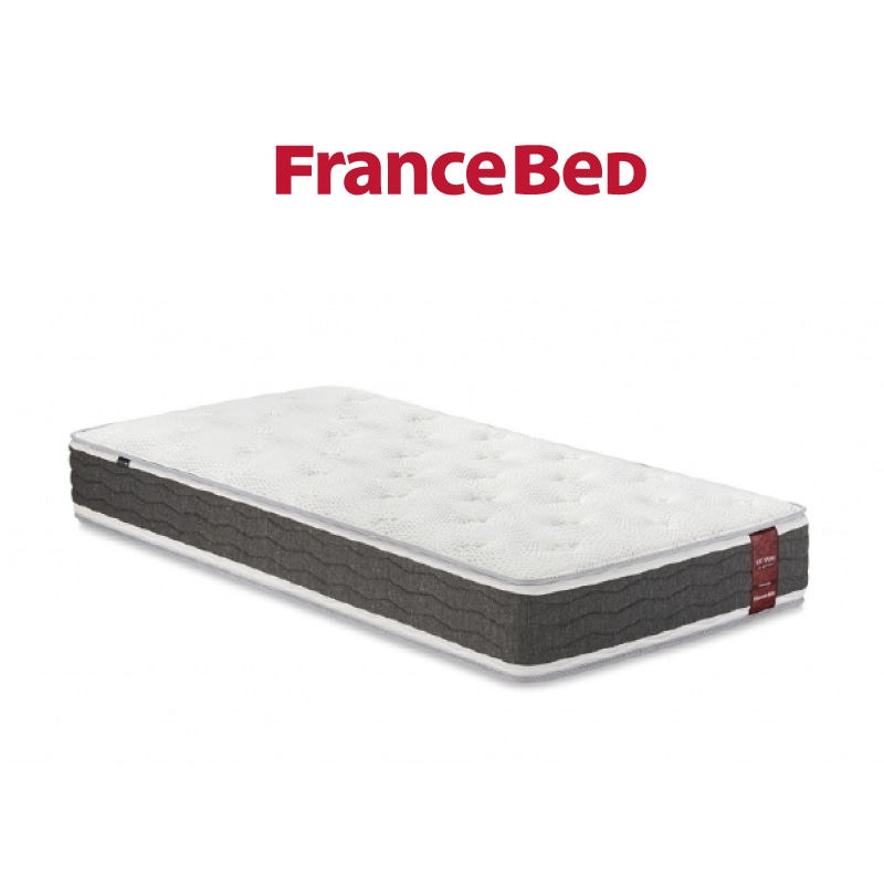 フランスベッド】 セミダブル・ベッドセット（レッグタイプ） DL