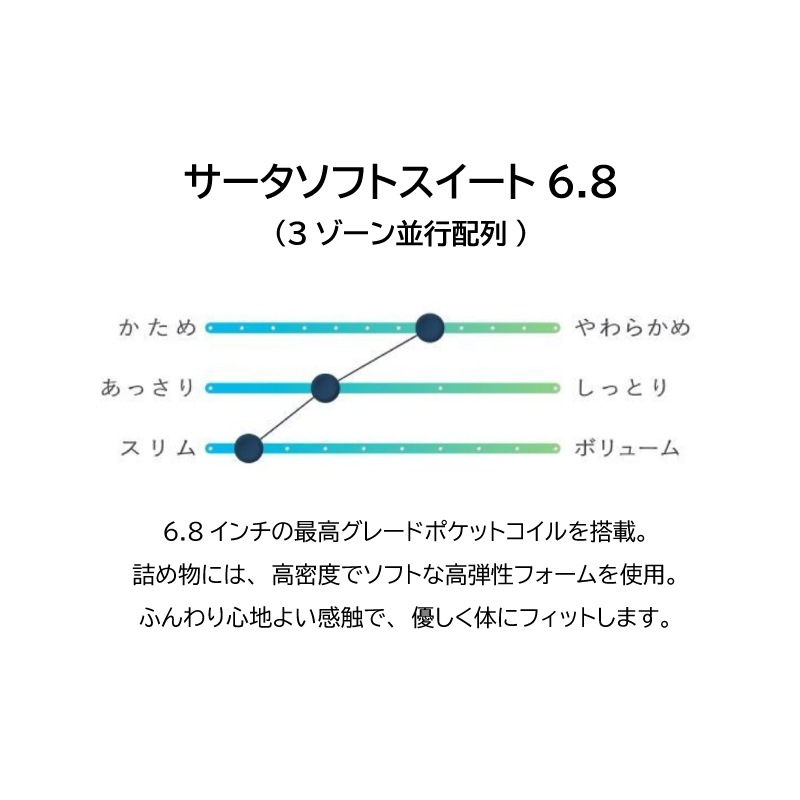 �ڥ������ۥ��ߥ��֥�٥åɥ��åȡ��ۥƥ륹������594(���ơ�����󥿥���)���������եȥ�������6.8