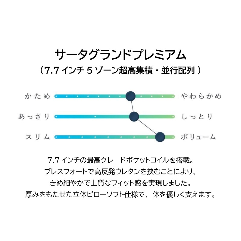 ڥۥߥ󥰥٥åɥåȡ504ɥץ쥤ߥࡡSKʬ䥿