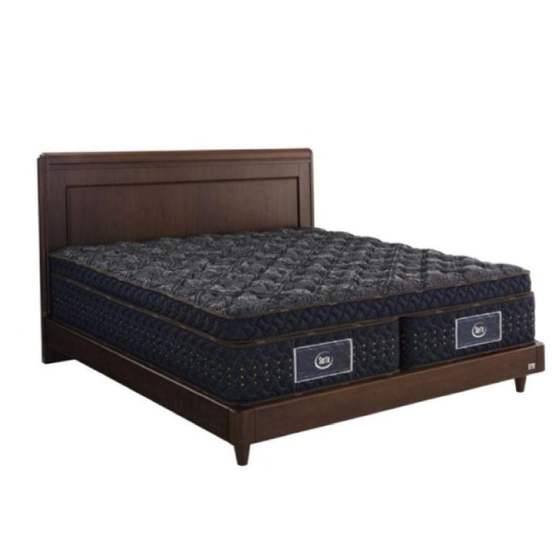 ڥۥߥ󥰥٥åɥåȡ504ɥץ쥤ߥࡡSKʬ䥿